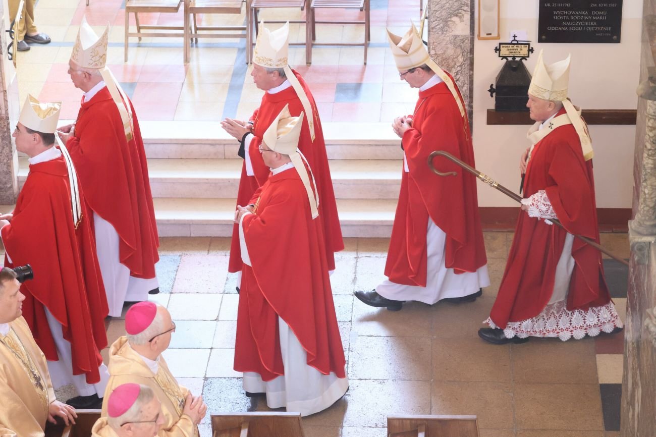 biskupi episkopat edukacja seksualna