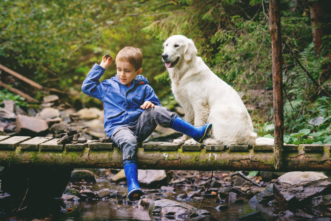 Bunt 5-latka, objawy, sposoby na radzenie sobie z buntem u dziecka
