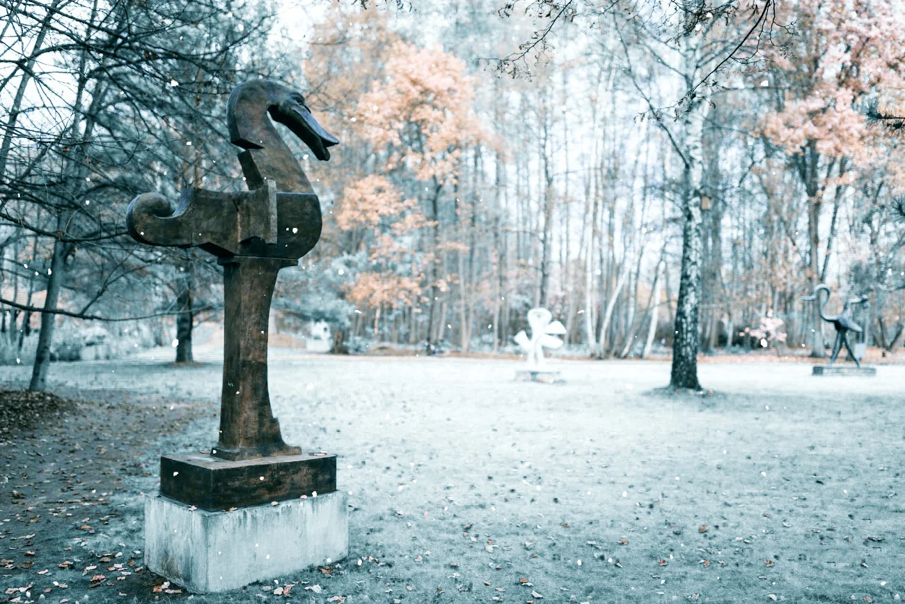 Owczarnia - wybierz się tu na zimowy spacer z rodziną