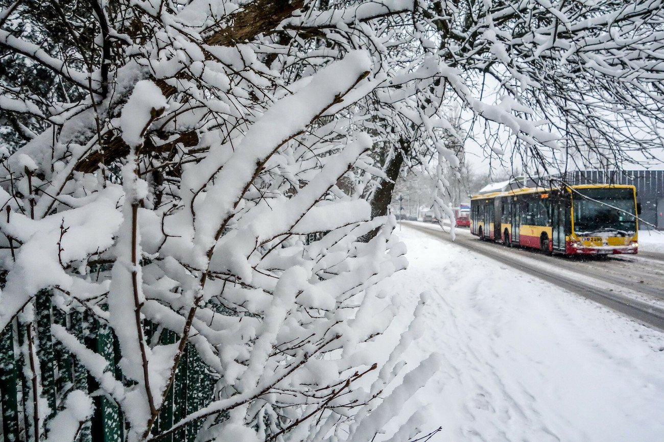autobus