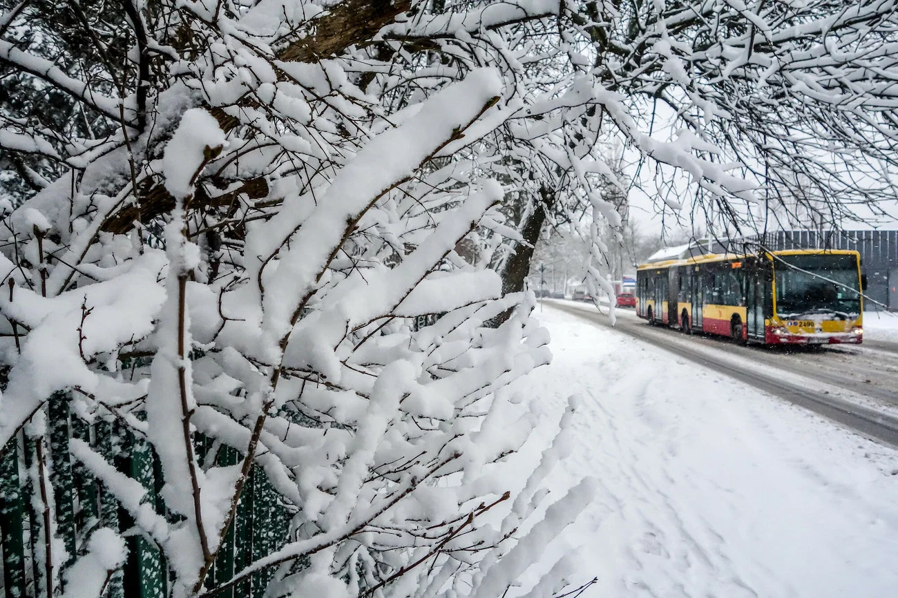 autobus