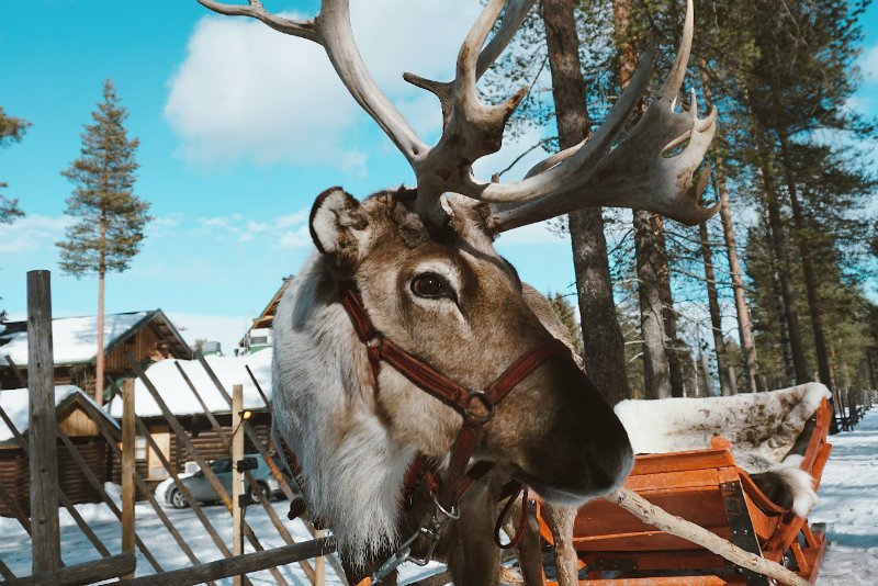 Mapa trasy Świętego Mikołaja. Sprawdź, gdzie rozdaje teraz prezenty