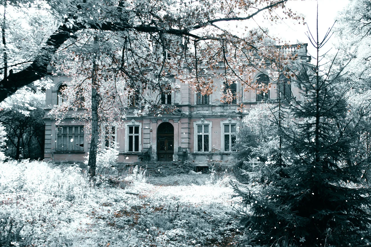 Konstancin-Jeziorna zimą
