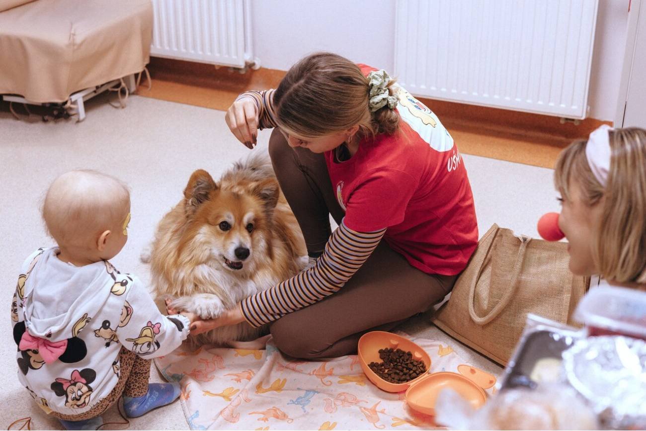 Ogólnopolski program dogoterapii pomógł już ponad 30 000 osób - moc merdającego ogona