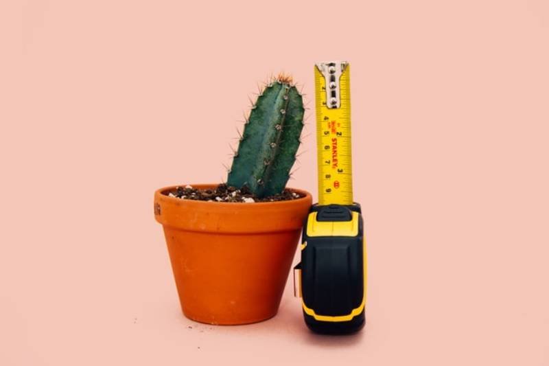 Żarty o małym penisie bolą całe życie. Tak budujemy toksyczną męskość