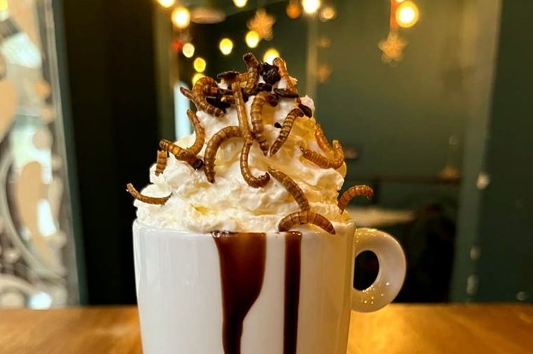 Trzeba przyznać, że larwy i czekolada to ciekawe połączenie