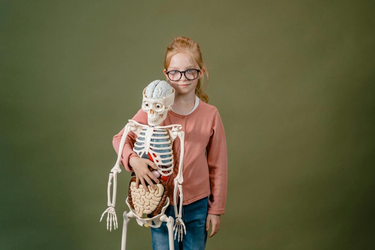 dziecko biologia anatomia lekcja