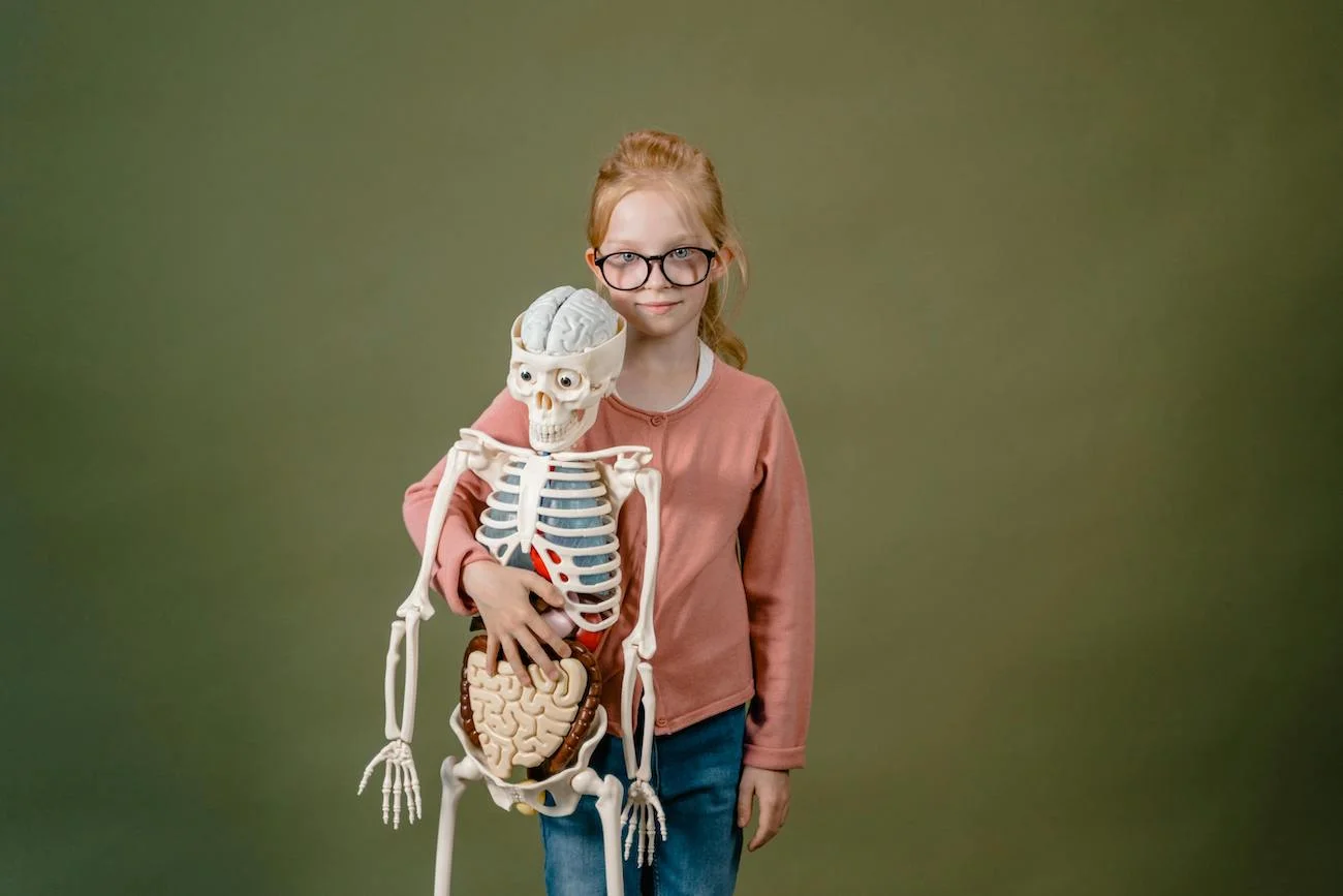 dziecko biologia anatomia lekcja