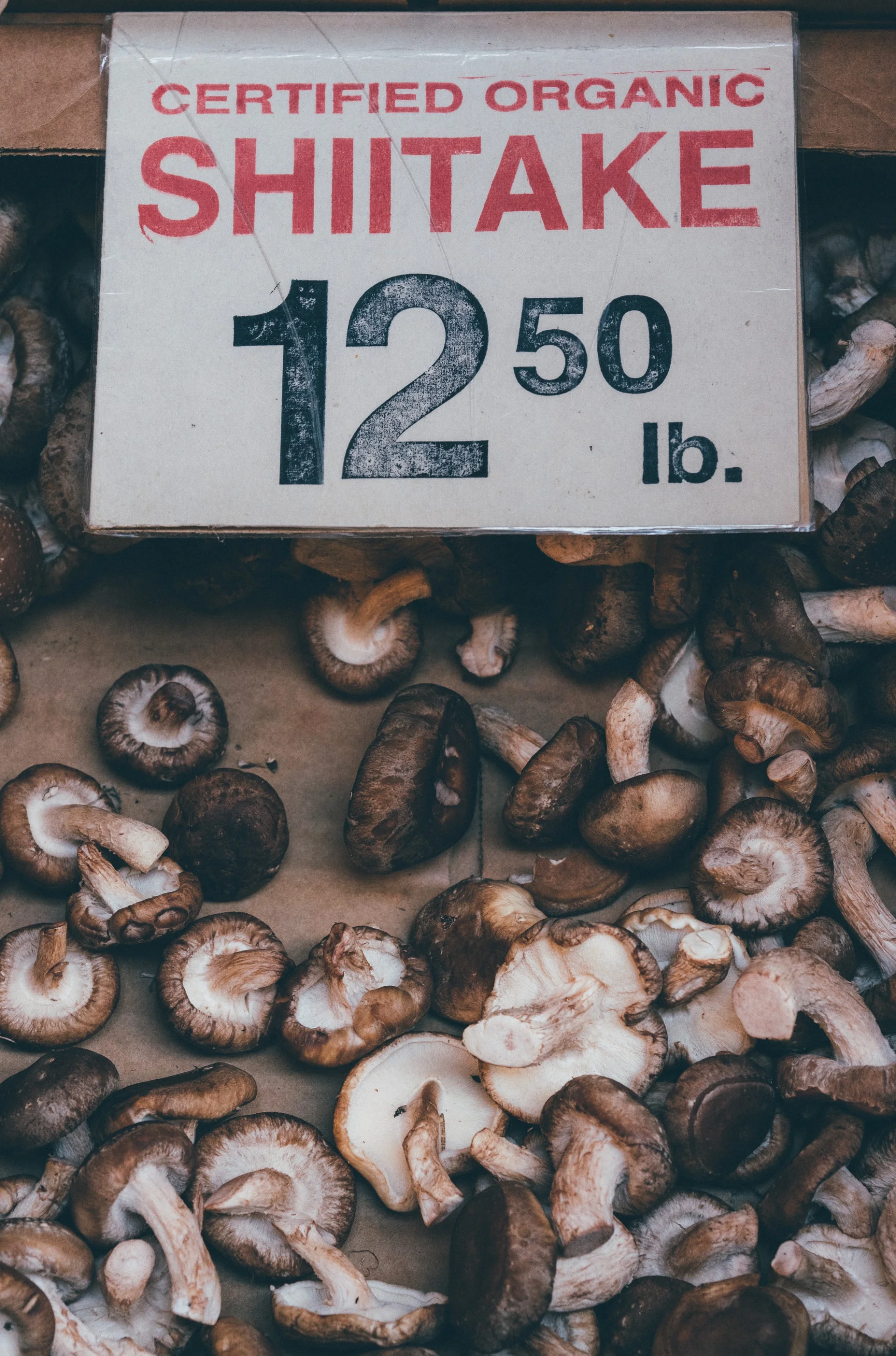 Shiitake